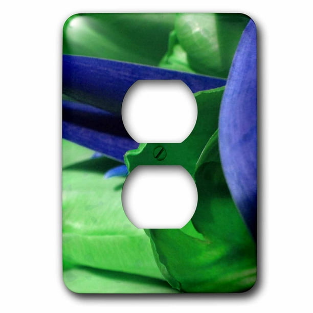 3dRose lsp_39172_6 An Electric Plate in Greens Pinks and Blues 2 Plug Outlet Cover 3dRose lsp_39172_6 An Electric Plate in Greens Pinks and Blues 2 Plug Outlet Cover